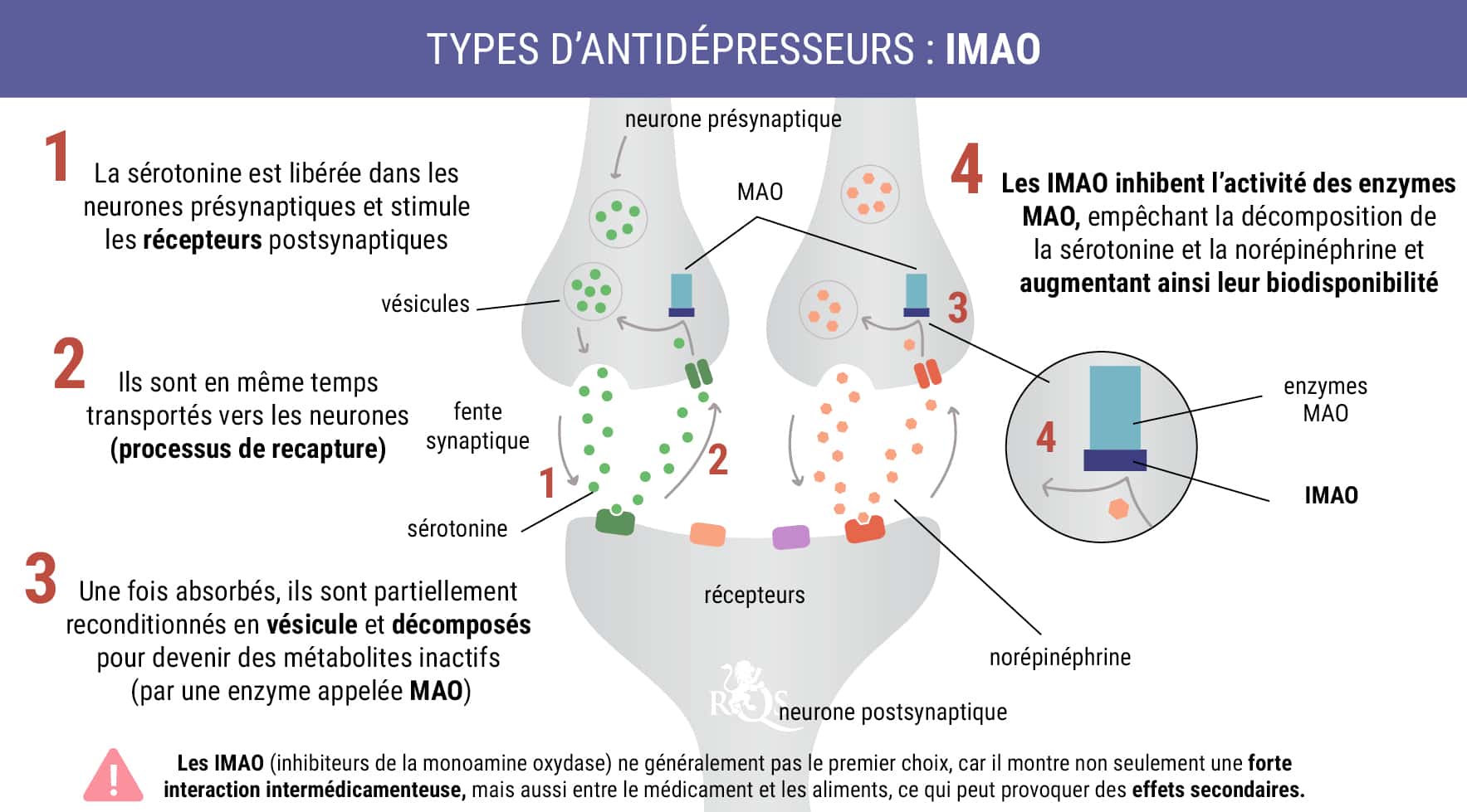 Diagram of MAO inhibitors (IMAO) blocking the MAO enzyme to increase neurotransmitters and treat depression.