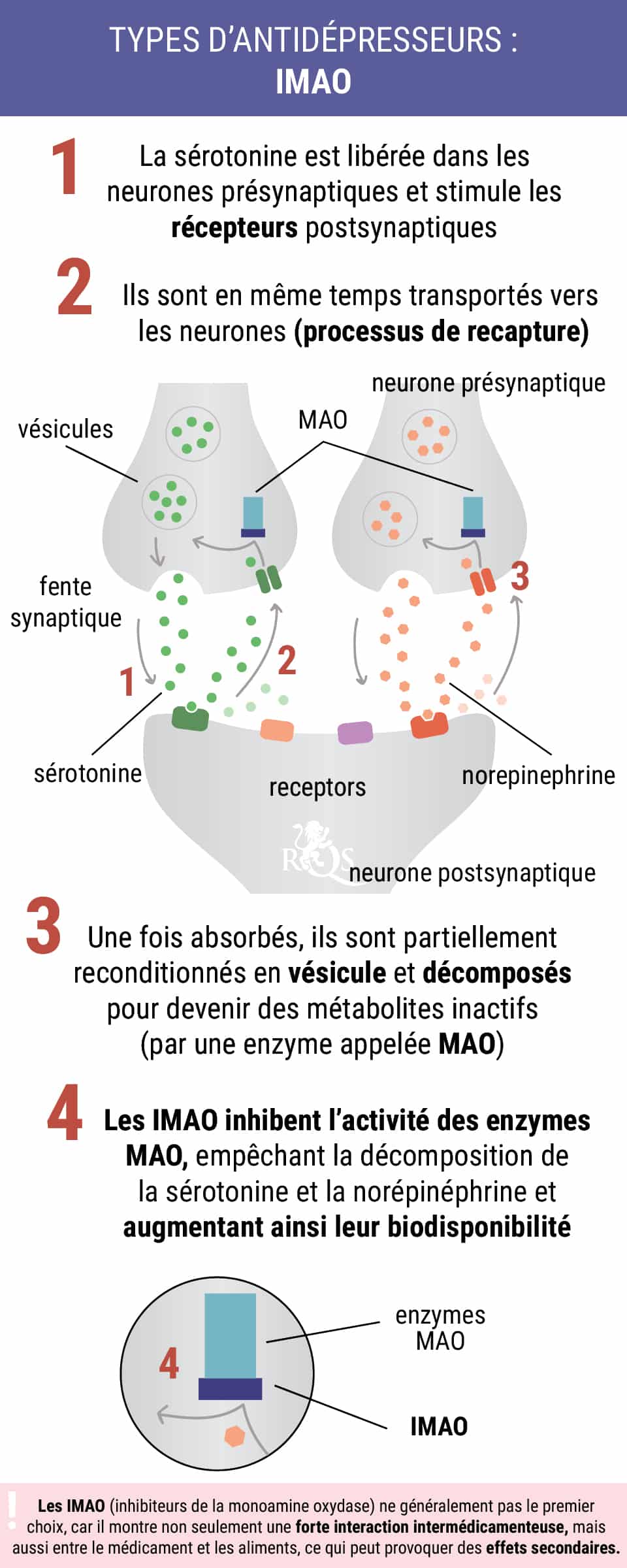 Diagram of MAO inhibitors (IMAO) blocking the MAO enzyme to increase neurotransmitters and treat depression.