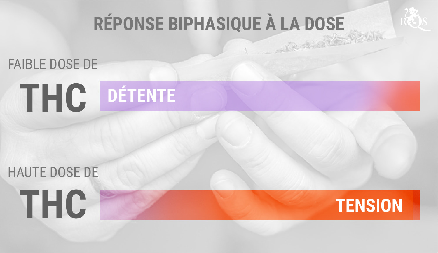 THC et réponse biphasique au dosage THC et réponse biphasique au dosage