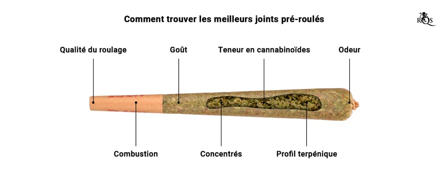 Comment rouler le blunt parfait en 6 étapes simples - RQS Blog