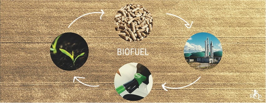 C’est Quoi Exactement Les Biocarburants ?