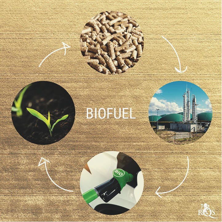 C’est Quoi Exactement Les Biocarburants ?