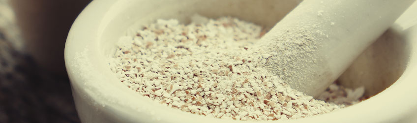 CARENCE EN CALCIUM : MÉLANGE DE COQUILLES D’ŒUF CARENCE EN CALCIUM : MÉLANGE DE COQUILLES D’ŒUF