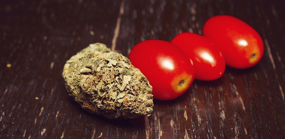 Bloody Mary boisson teinture de cannabis tomate savoureuse infusé de jus mauvaises herbes