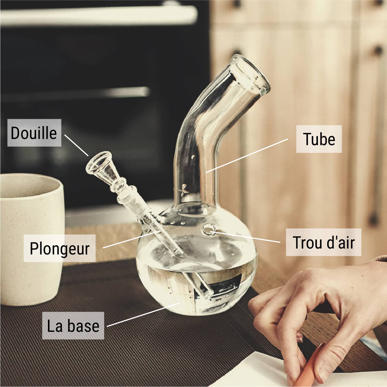 Quel Est L’Intérêt De L’Eau Dans Un Bang Quel Est L’Intérêt De L’Eau Dans Un Bang