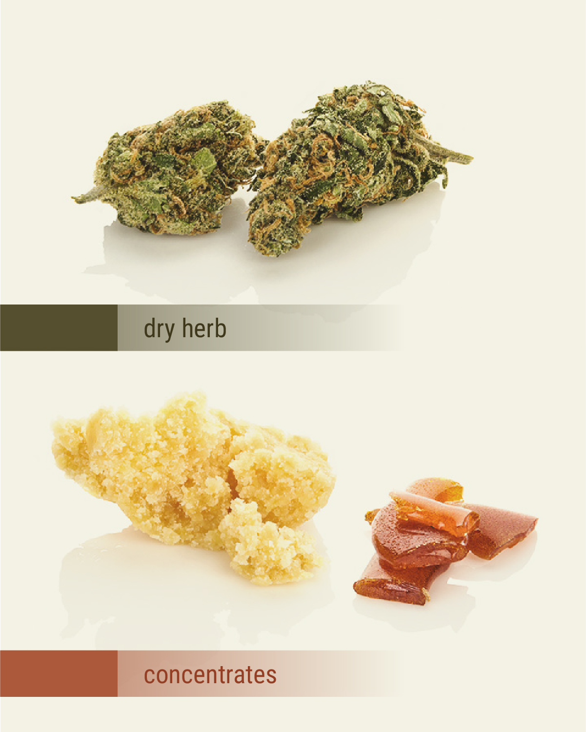 Dab rig ou bang Dab rig ou bang