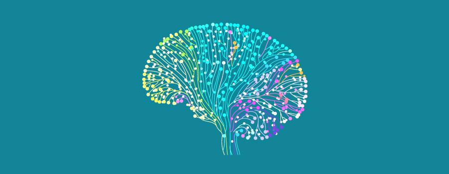 Cerebro y Cannabis Cerebro y Cannabis