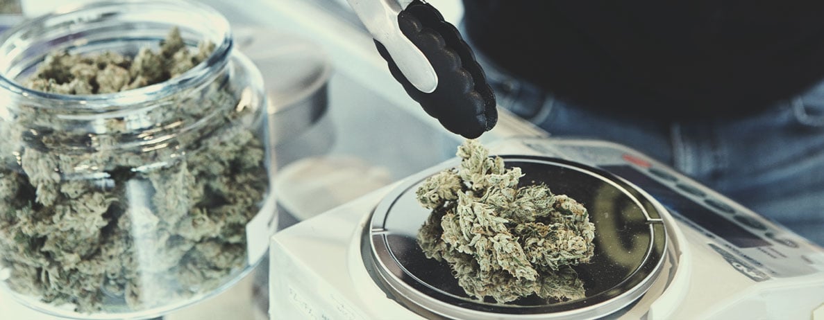 Comment devenir vendeur de cannabis légal