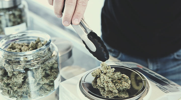 Comment devenir vendeur de cannabis légal Comment devenir vendeur de cannabis légal