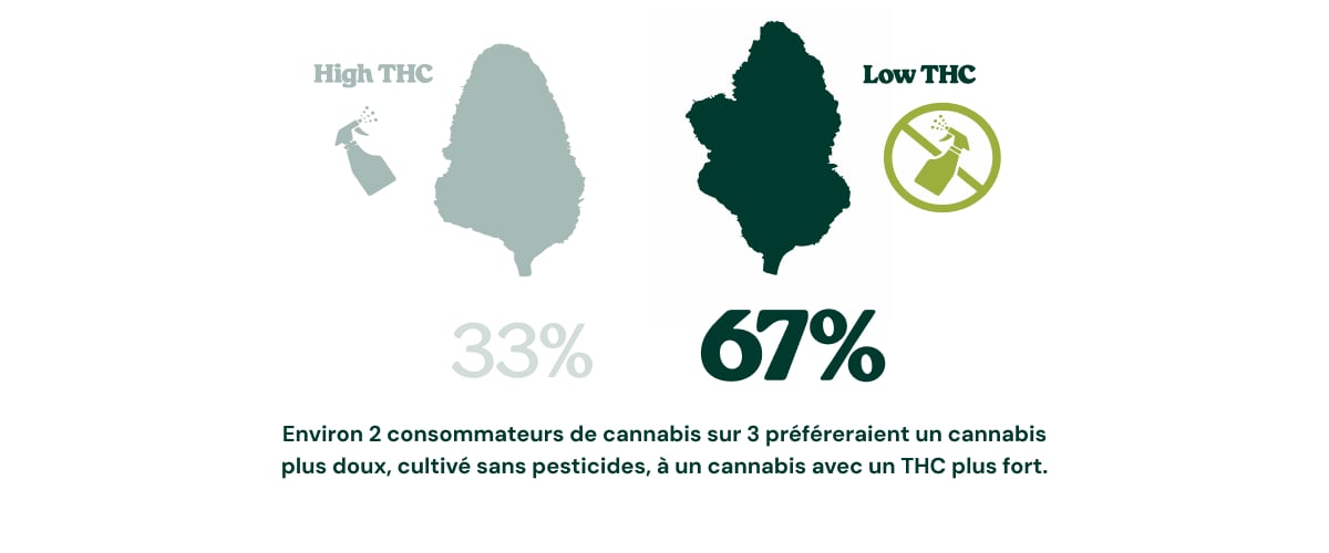 Infographie montrant que 67 % des consommateurs de cannabis choisiraient un cannabis moins riche en THC, cultivé sans pesticides, plutôt qu’un cannabis plus puissant avec un taux de THC plus élevé, tandis que 33 % choisiraient un cannabis riche en THC.