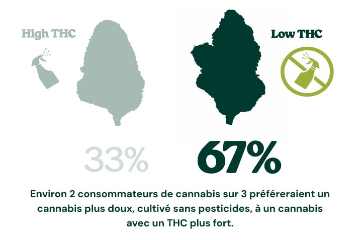 Infographie montrant que 67 % des consommateurs de cannabis choisiraient un cannabis moins riche en THC, cultivé sans pesticides, plutôt qu’un cannabis plus puissant avec un taux de THC plus élevé, tandis que 33 % choisiraient un cannabis riche en THC.