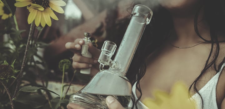 Toutes Les Façons De Consommer Du Cannabis Toutes Les Façons De Consommer Du Cannabis