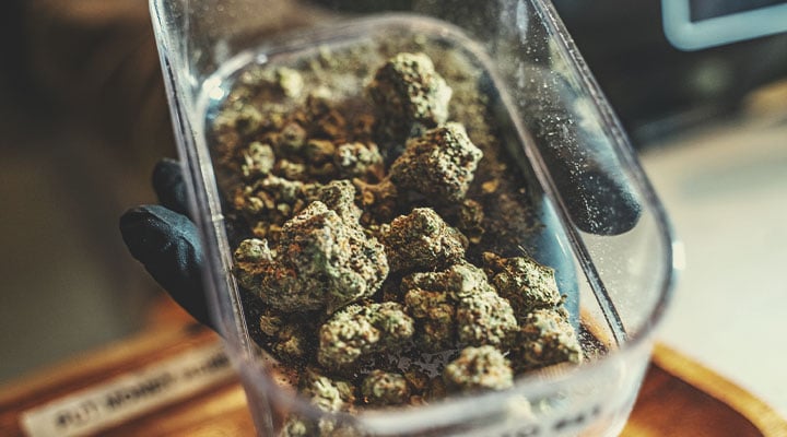 Comment devenir vendeur de cannabis légal Comment devenir vendeur de cannabis légal