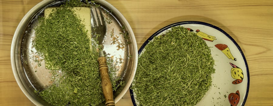 Cannabutter recette de cannabis thé