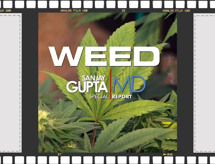 Documentaires Cannabis