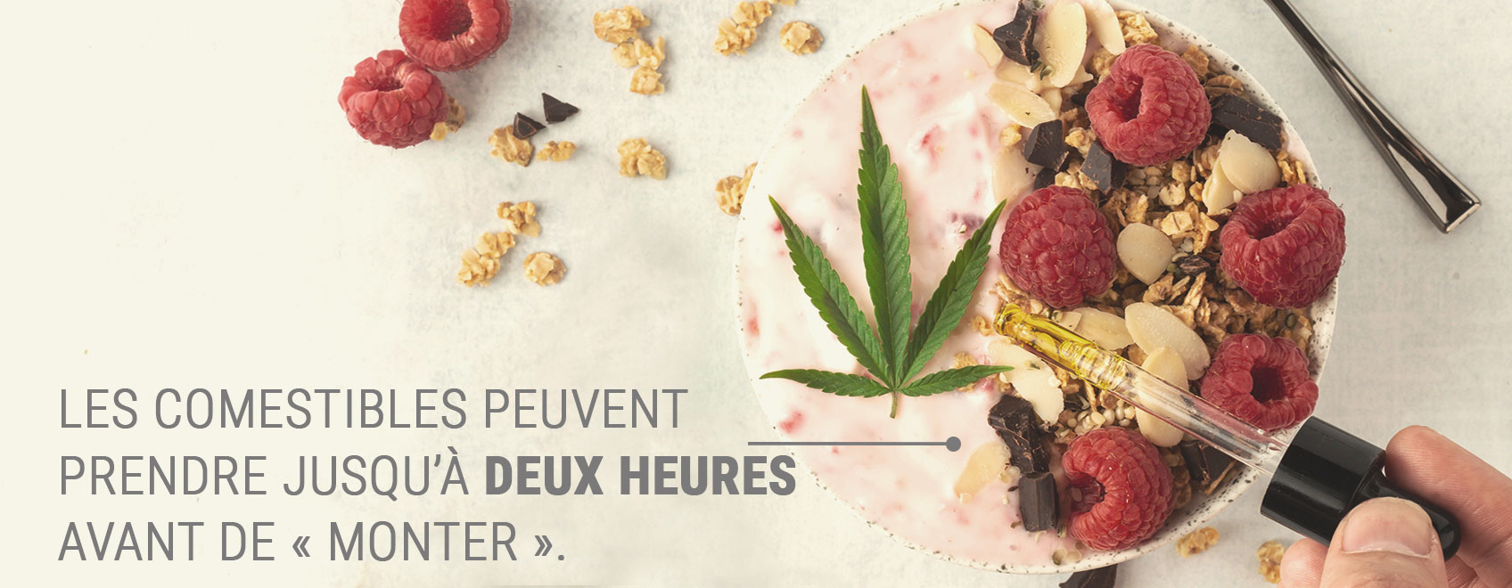 Qu’est-ce que l’ingestion orale de cannabis ?