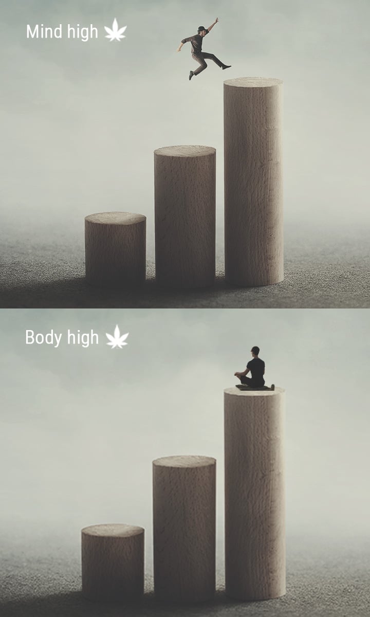 Effets Cérébraux Vs Effets Corporels Effets Cérébraux Vs Effets Corporels