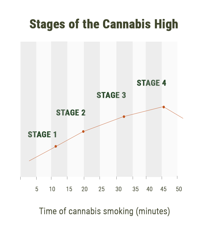 Phases Des Effets Du Cannabis Phases Des Effets Du Cannabis