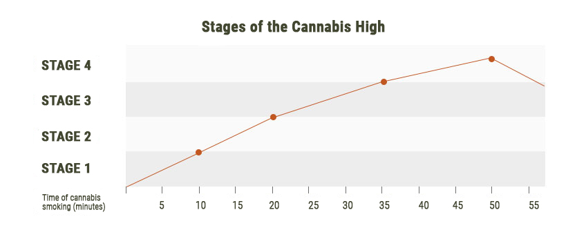 Phases Des Effets Du Cannabis Phases Des Effets Du Cannabis