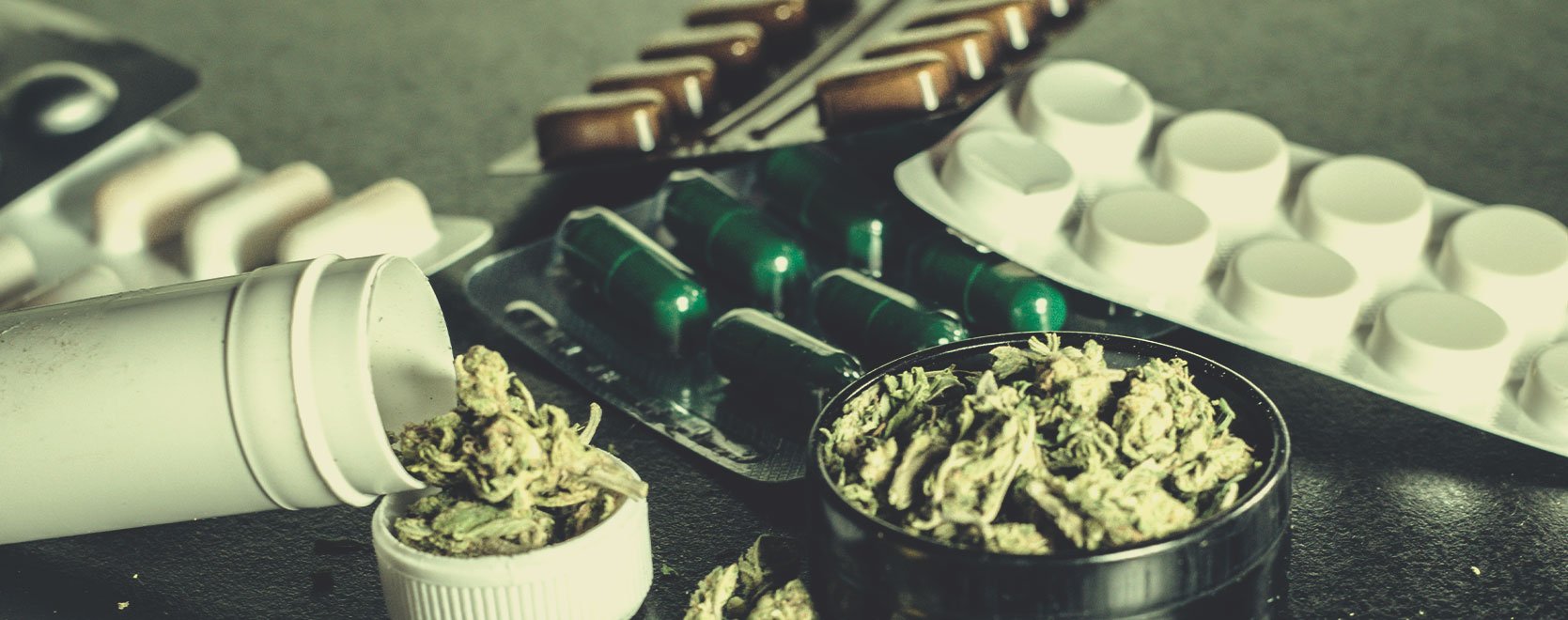 Qu’est-ce qui pousse un toxicomane à choisir le cannabis comme substitut ?