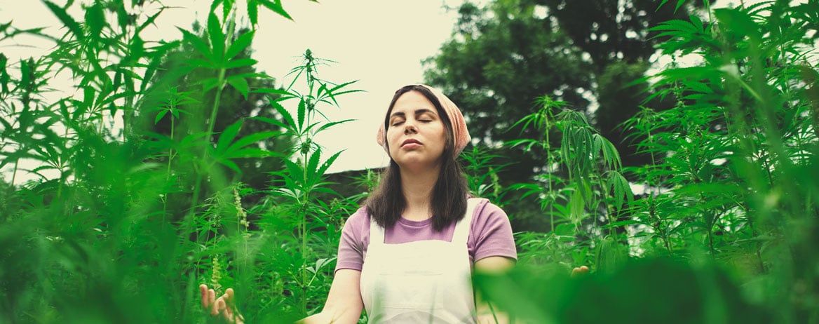 Pouvez-vous nous partager une pratique que nous pourrions employer pour méditer avec le cannabis ?