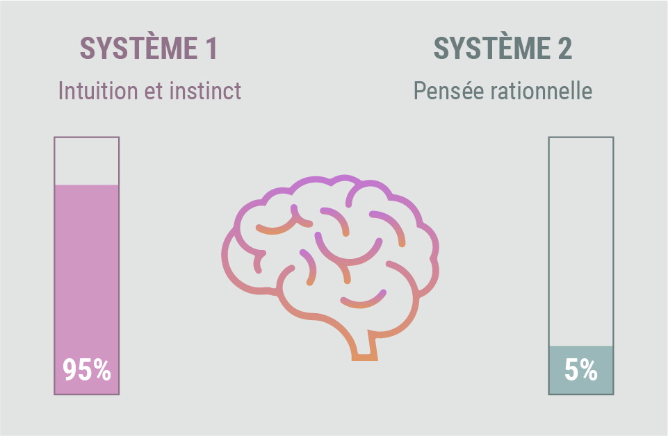 Comment fonctionne la mémoire Comment fonctionne la mémoire