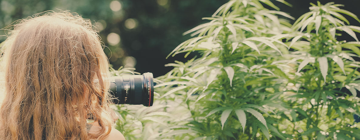 Quel type de travail peut-on attendre d’un photographe spécialiste du cannabis (par exemple, dans l’immobilier, pour des dispensaires, des photojournalistes spécialistes du cannabis…) ?