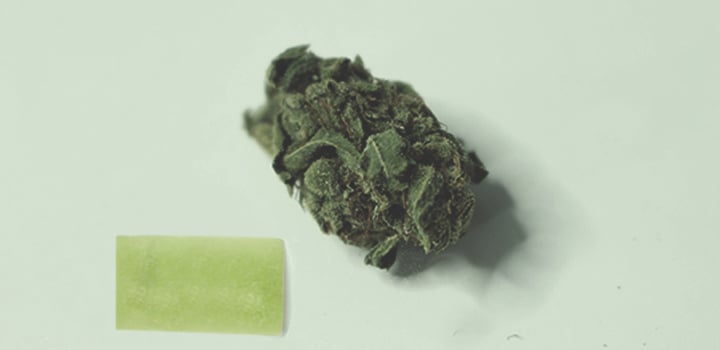 Toutes Les Façons De Consommer Du Cannabis Toutes Les Façons De Consommer Du Cannabis