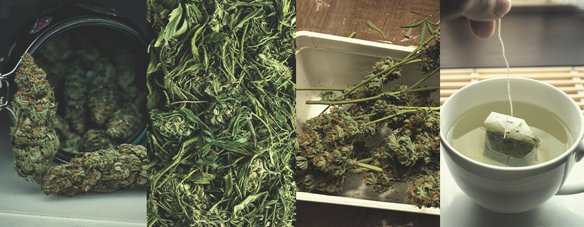 Les Types de Thé au Cannabis Les Types de Thé au Cannabis