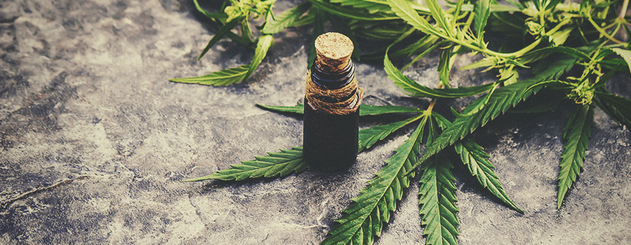 PRÉPARER VOTRE CANNABIS PRÉPARER VOTRE CANNABIS