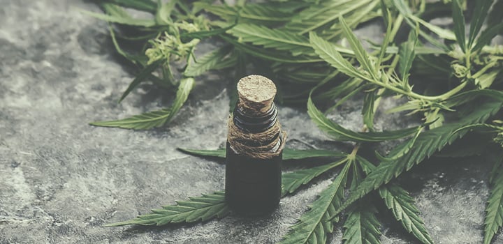 Toutes Les Façons De Consommer Du Cannabis Toutes Les Façons De Consommer Du Cannabis