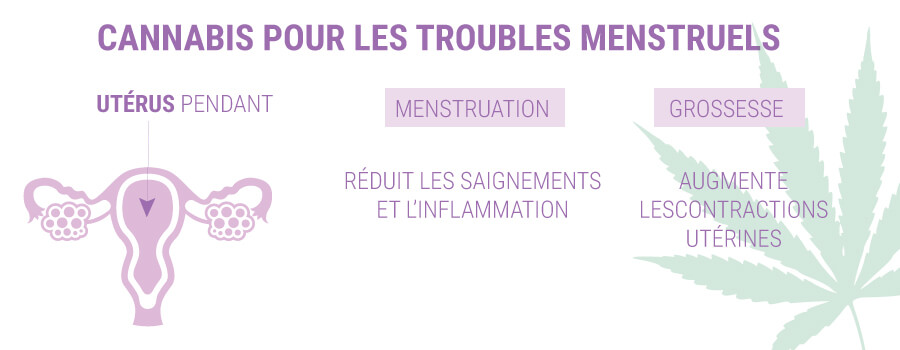 CANNABIS POUR LES TROUBLES MENSTRUELS CANNABIS POUR LES TROUBLES MENSTRUELS