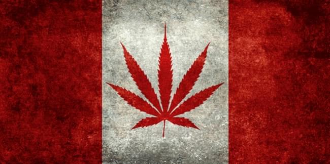 Canada Legislation Medical Cannabis