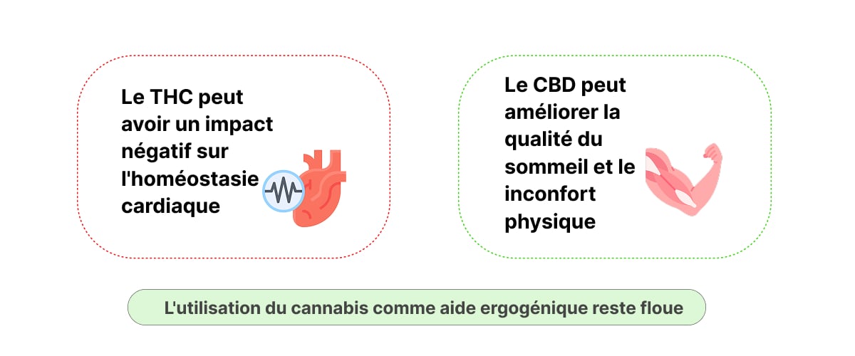 Infographie montrant les effets potentiels du THC et du CBD sur les performances sportives, l’homéostasie cardiaque, la qualité du sommeil et la récupération