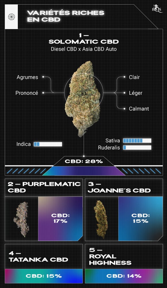 Top High CBD Strains