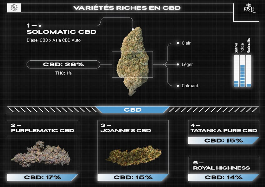 Top RQS High CBD Strains