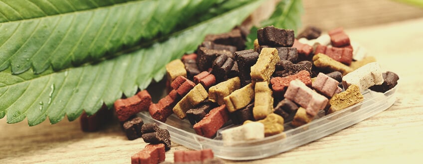 Friandises Au CBD Pour Chats