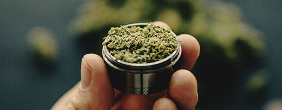 Comment faire cuire le CBD à la maison Comment faire cuire le CBD à la maison