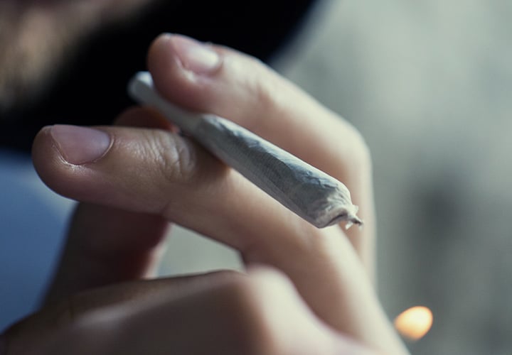 CBD CBD