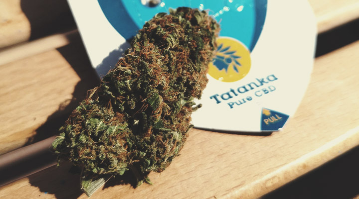 Quels sont les types de produits au CBD disponibles ? Quels sont les types de produits au CBD disponibles ?