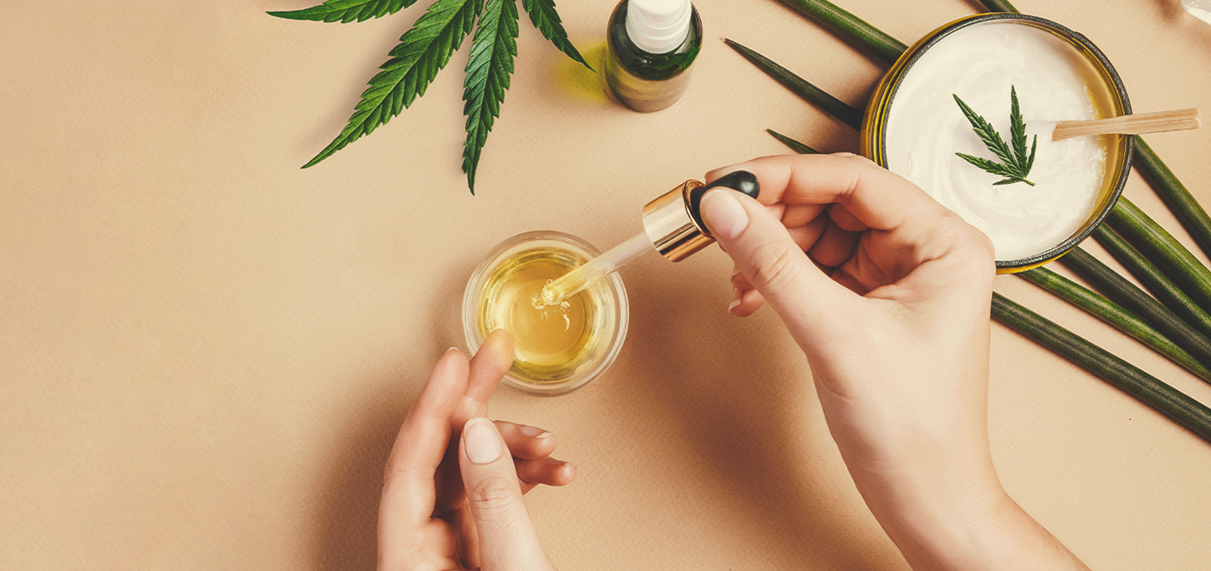 Comment faire un extrait à partir de cannabis médical Comment faire un extrait à partir de cannabis médical