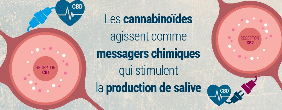 LES SUBSTANCES DANS LA FUMÉE AGGRAVENT LES CHOSES