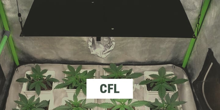 CFL CFL