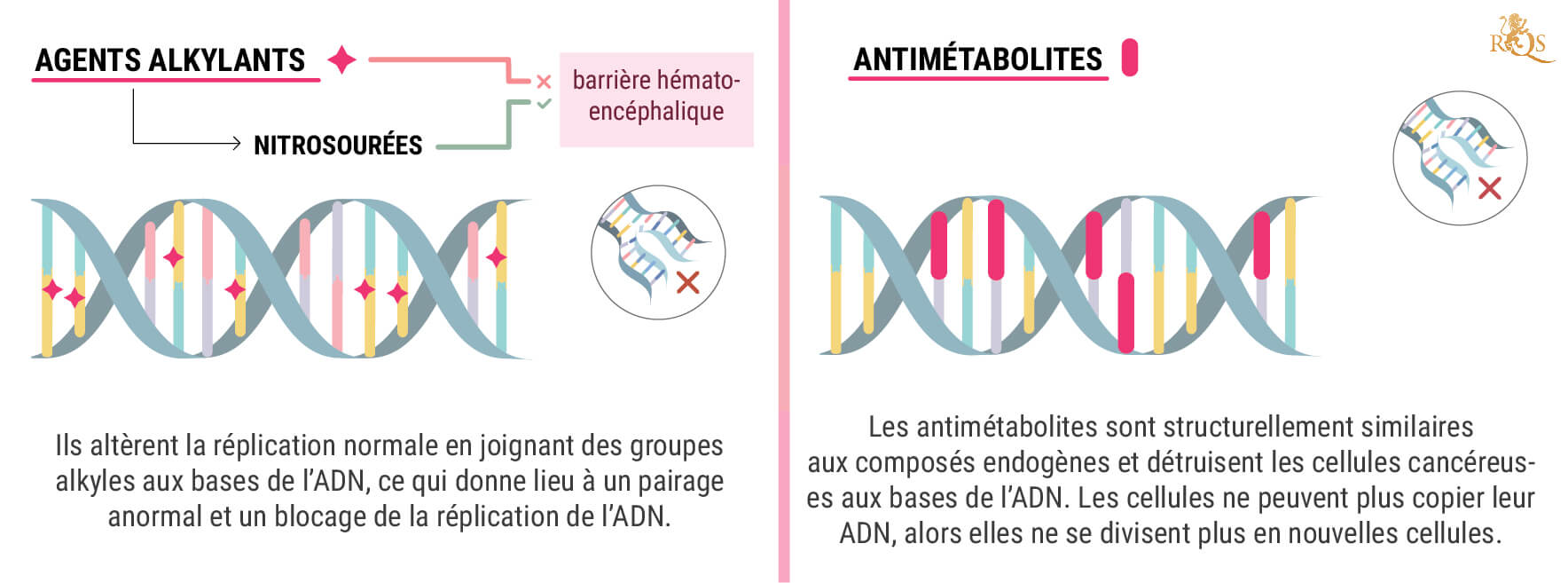 Qu’Est-Ce Qu’Une Chimiothérapie ? Qu’Est-Ce Qu’Une Chimiothérapie ?
