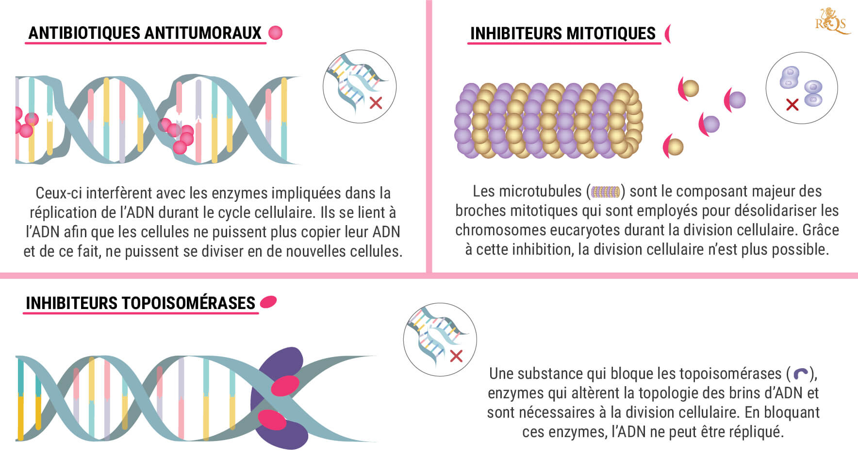 Qu’Est-Ce Qu’Une Chimiothérapie ?