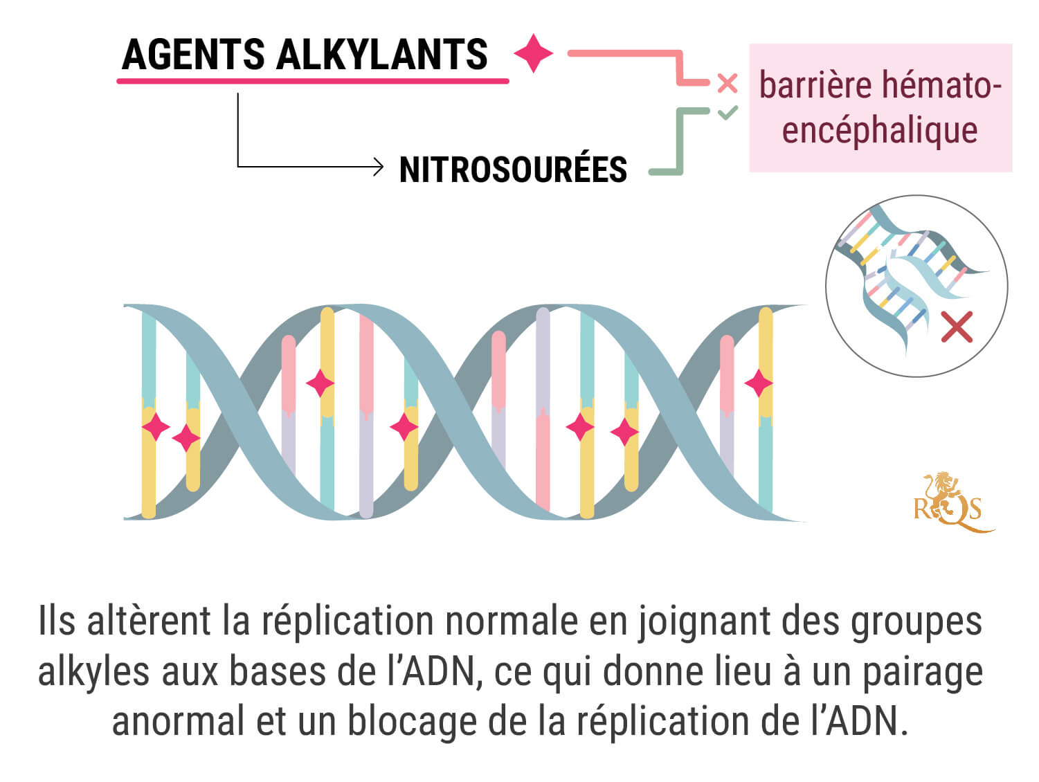 Qu’Est-Ce Qu’Une Chimiothérapie ?