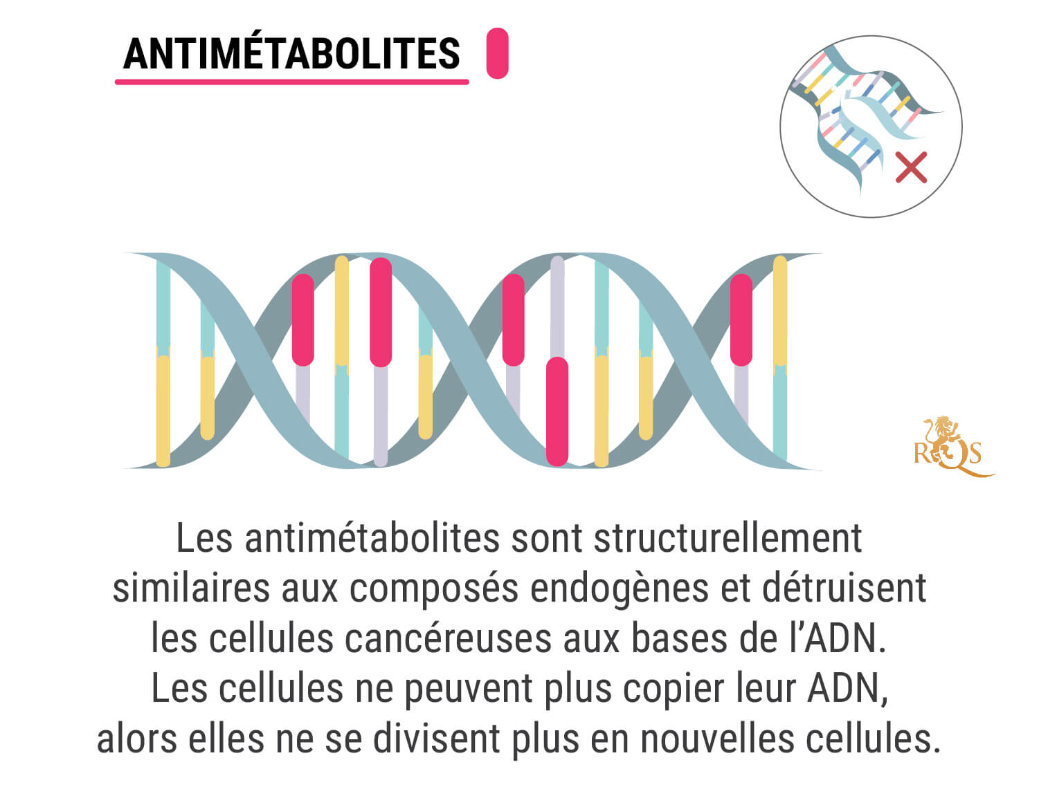 Qu’Est-Ce Qu’Une Chimiothérapie ?