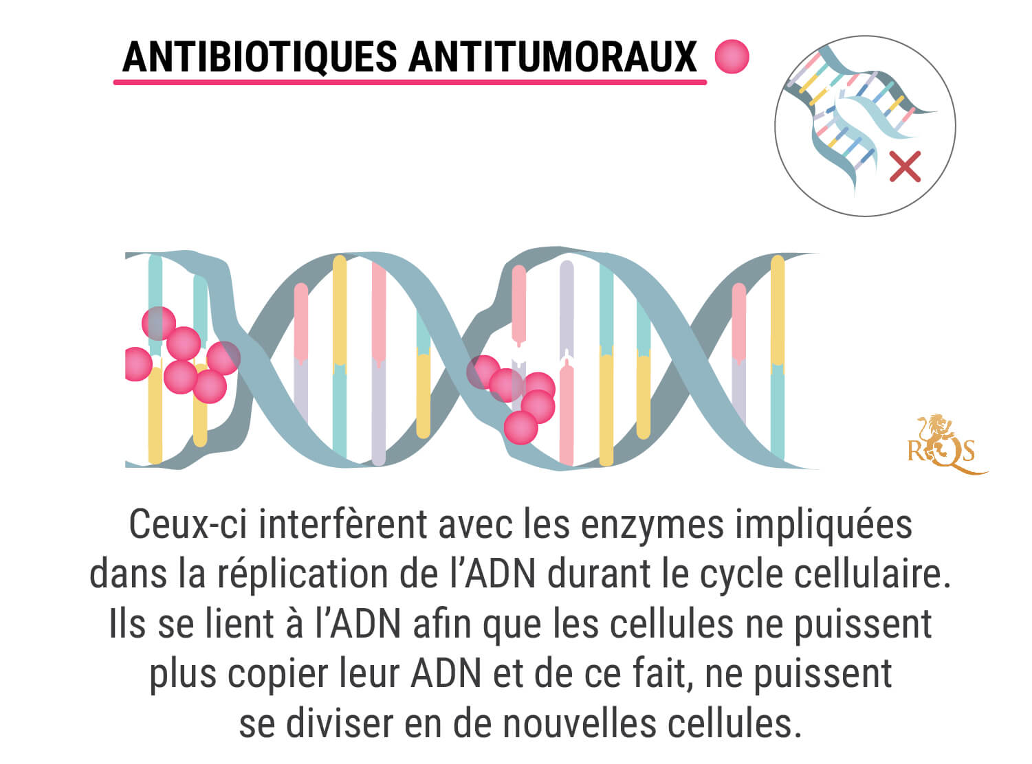 Qu’Est-Ce Qu’Une Chimiothérapie ?