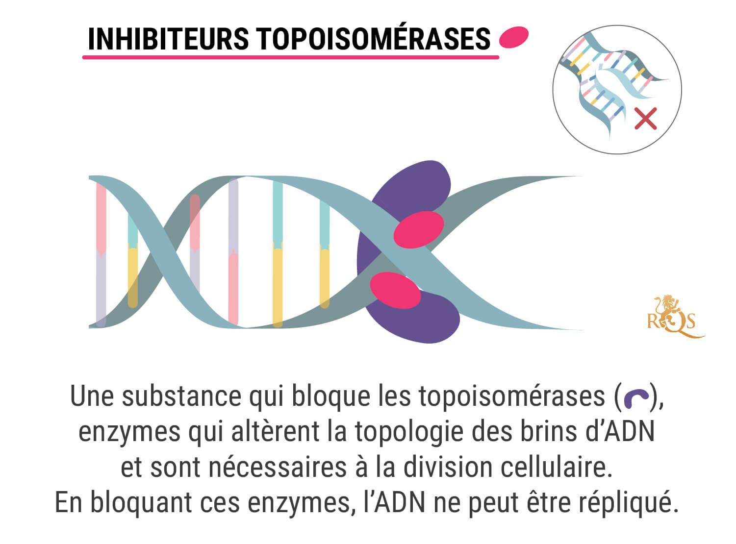 Qu’Est-Ce Qu’Une Chimiothérapie ?