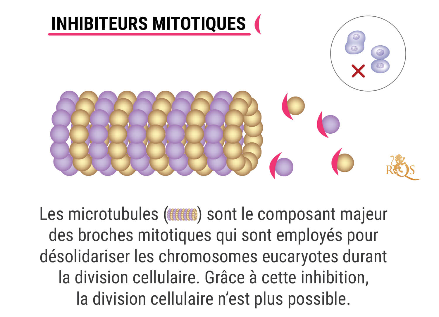 Qu’Est-Ce Qu’Une Chimiothérapie ? Qu’Est-Ce Qu’Une Chimiothérapie ?
